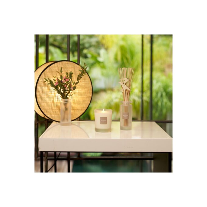 CITRONELA Y MENTA - Vela perfumada recargable 180 gr. - Imagen 2