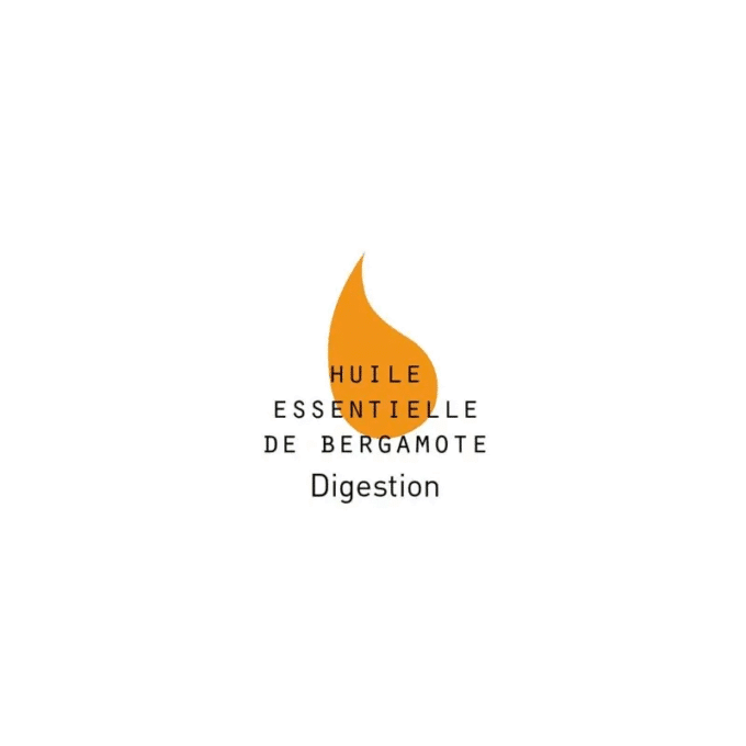 DESINTOXICANTE - Té verde bio con aceites esenciales 80 gr. - Imagen 3