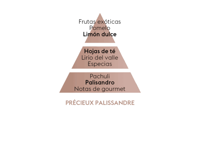 PRÉCIEUX PALISSANDRE - Líquido para lámpara catalítica 500ml - Imagen 2