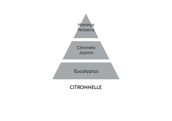 CITRONNELLE - Recambio de mikado - Imagen 2
