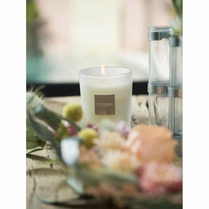 CITRONELA Y MENTA - Vela perfumada recargable 180 gr. - Imagen 5