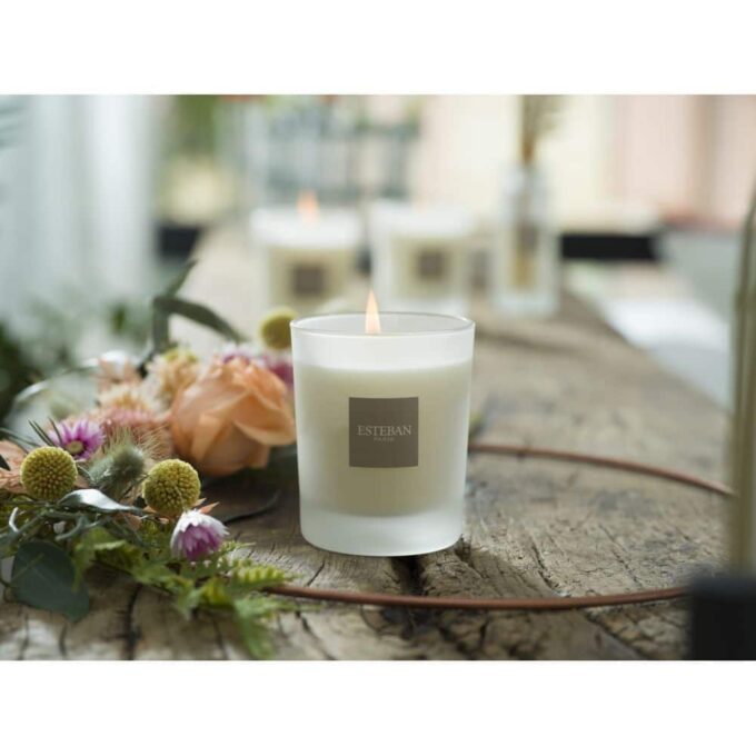 CITRONELA Y MENTA - Vela perfumada recargable 180 gr. - Imagen 3