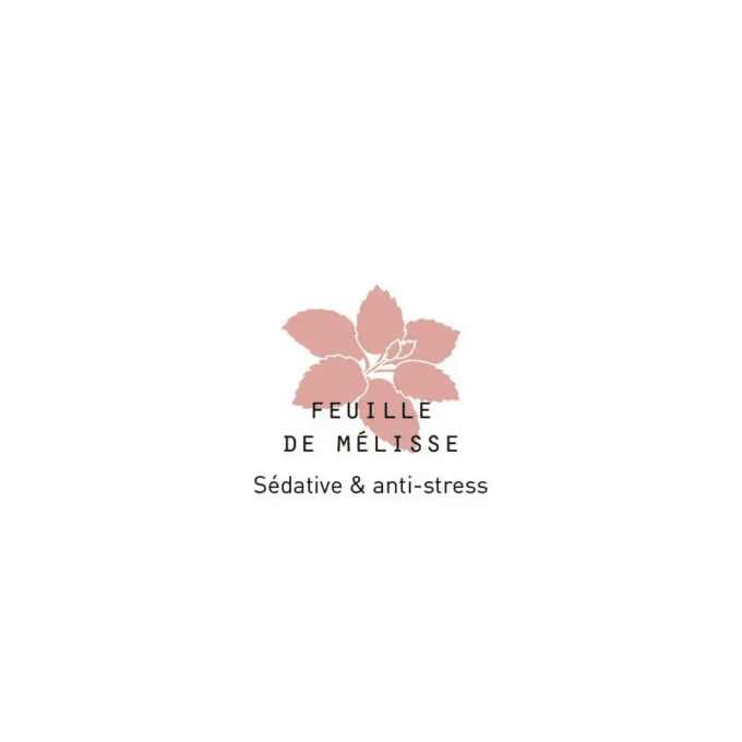 MEDITACIÓN - Tisana bio con aceites esenciales 40 gr. - Imagen 4