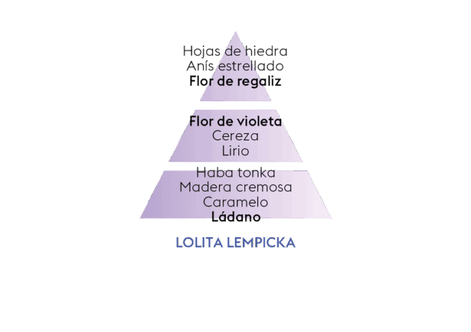 LEMPICKA PREMIUM TRANSPARENTE- Mikado para hogar / HIEDRA - Imagen 6