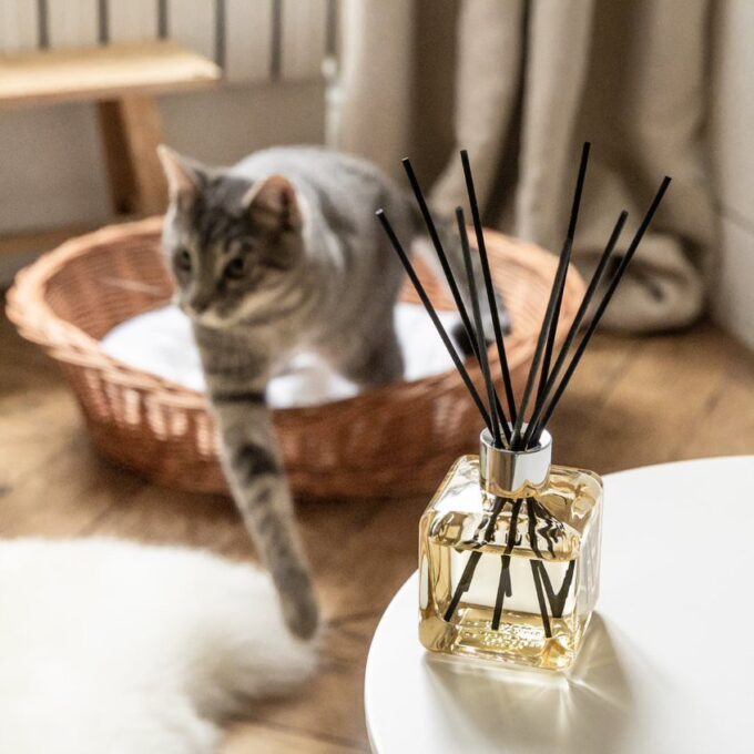 ANTITABACO - Mikado para hogar / CEDRO - Imagen 6