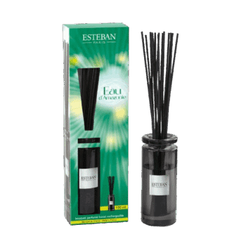 Perfuma tu hogar de forma continua con el mikado Eau d'Amazonie Inicial de Esteban Paris