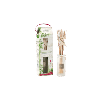 Perfuma tu entorno y protégelo de mosquitos con el mikado para hogar Citronela y Menta de Esteban Paris
