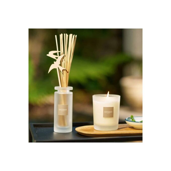 CITRONELA Y MENTA - Mikado para hogar / ROMERO - Imagen 7