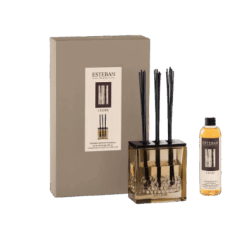 Cèdre - Mikado para hogar / Madera y especias