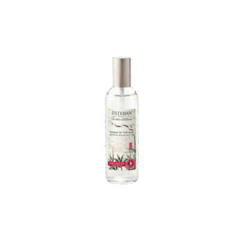 Perfuma el entorno de tu hogar de forma rápida y eficiente con el perfume de ambiente Encens et Thé Noir de Esteban Paris