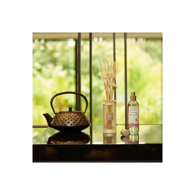 ENCENS ET THÉ NOIR - Perfume de ambiente en spray - Imagen 2