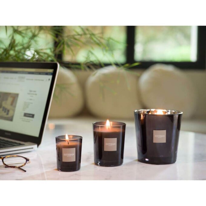 FIGUE NOIRE - Vela perfumada recargable 180 gr. - Imagen 3